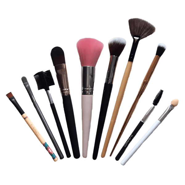 Makeup Brush Set (Set of 10)